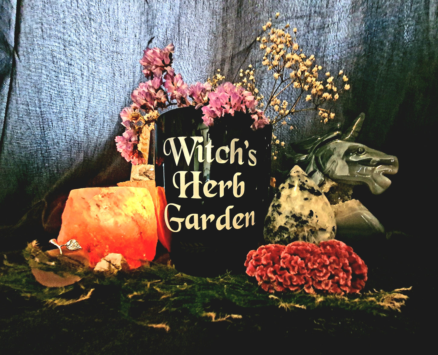 Witch's Plant Pot