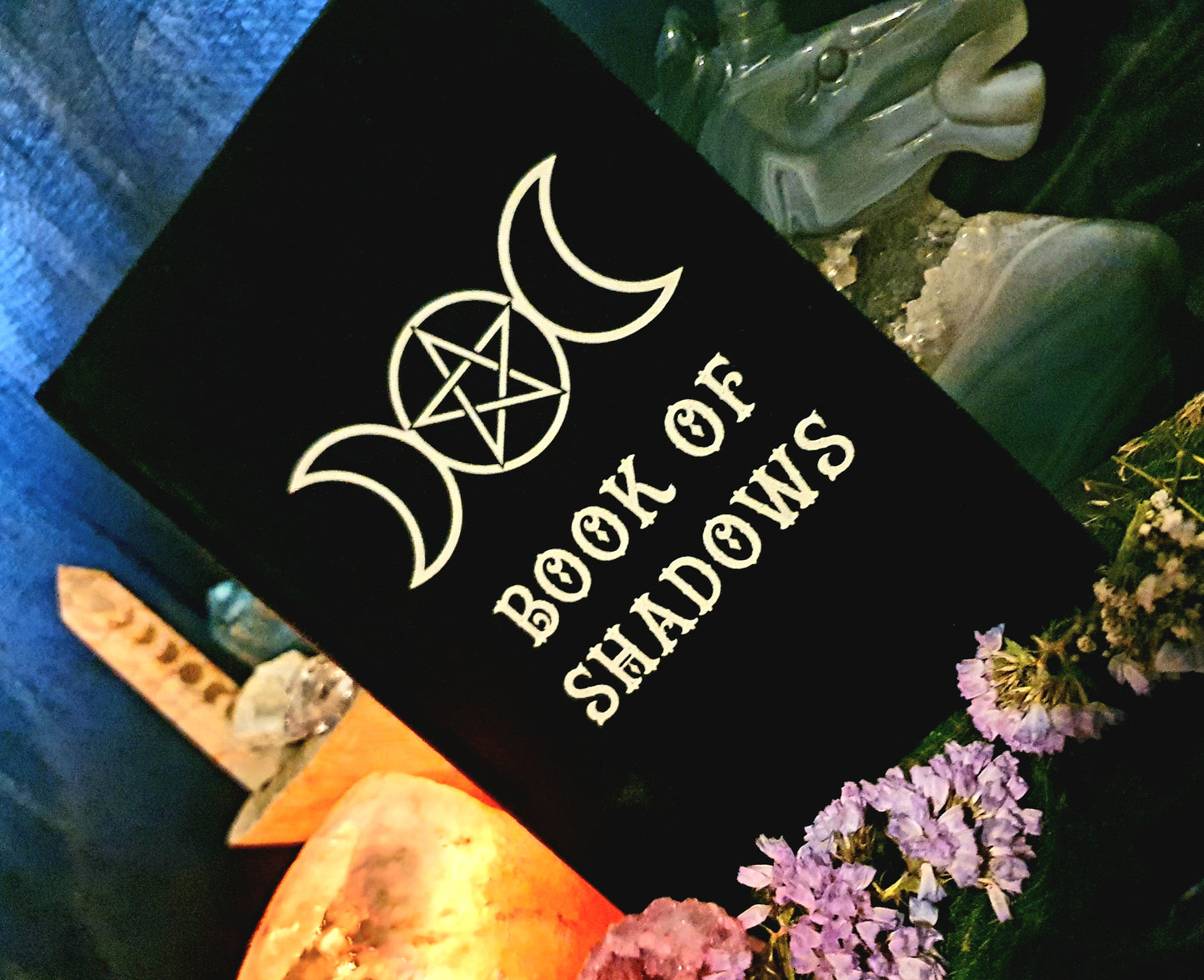 Velvet Witches Book.