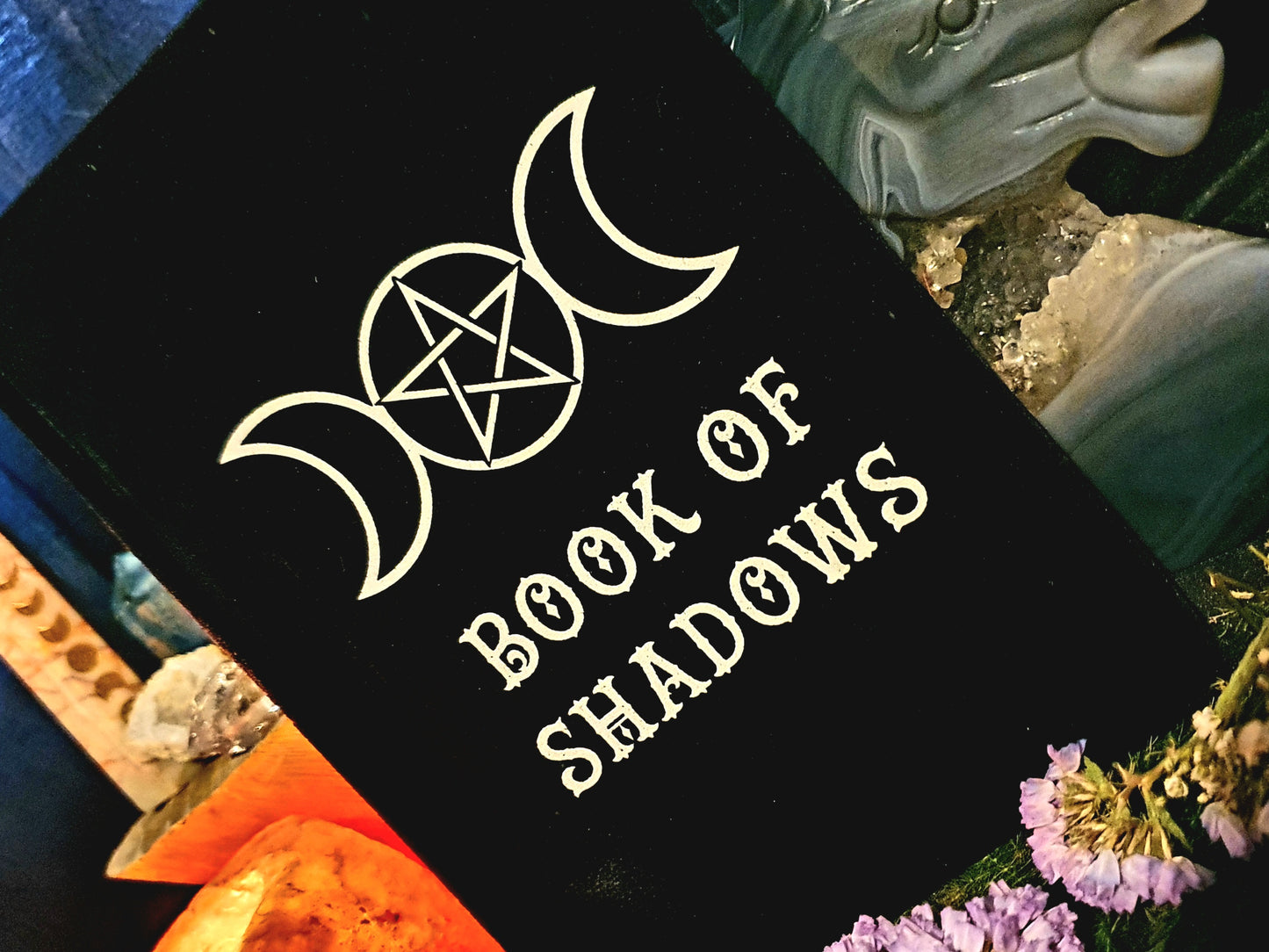 Velvet Witches Book.