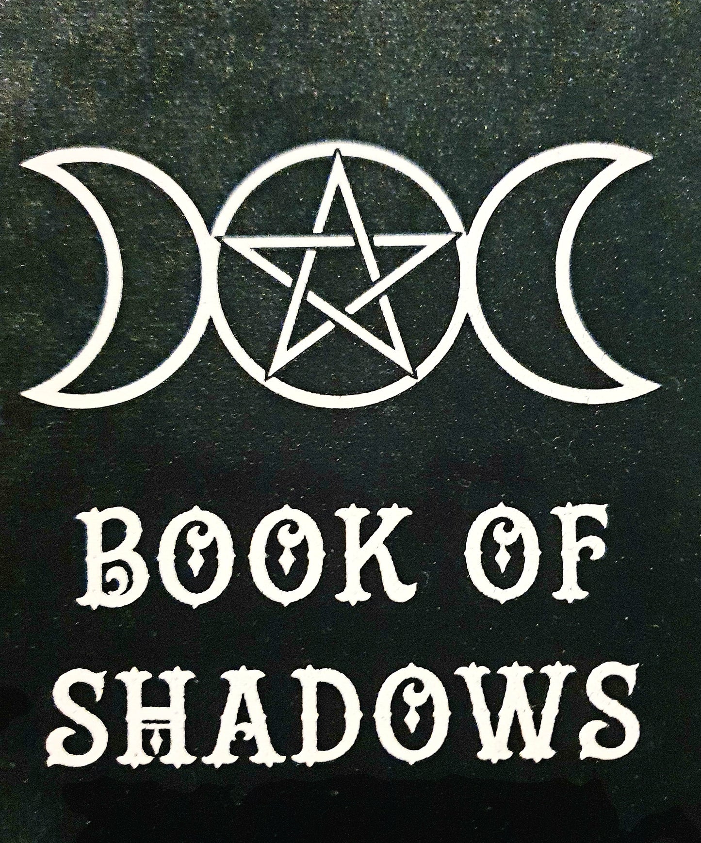 Velvet Witches Book.