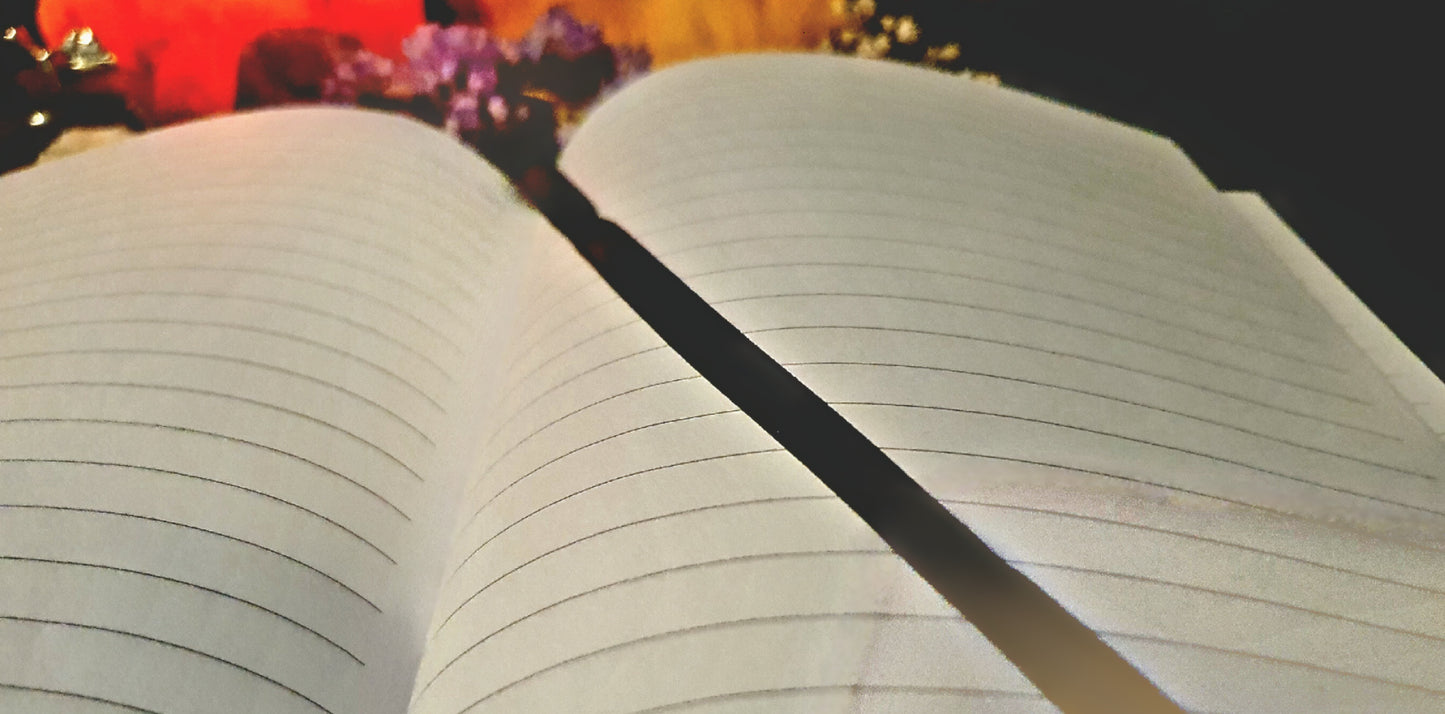 Velvet Witches Book.