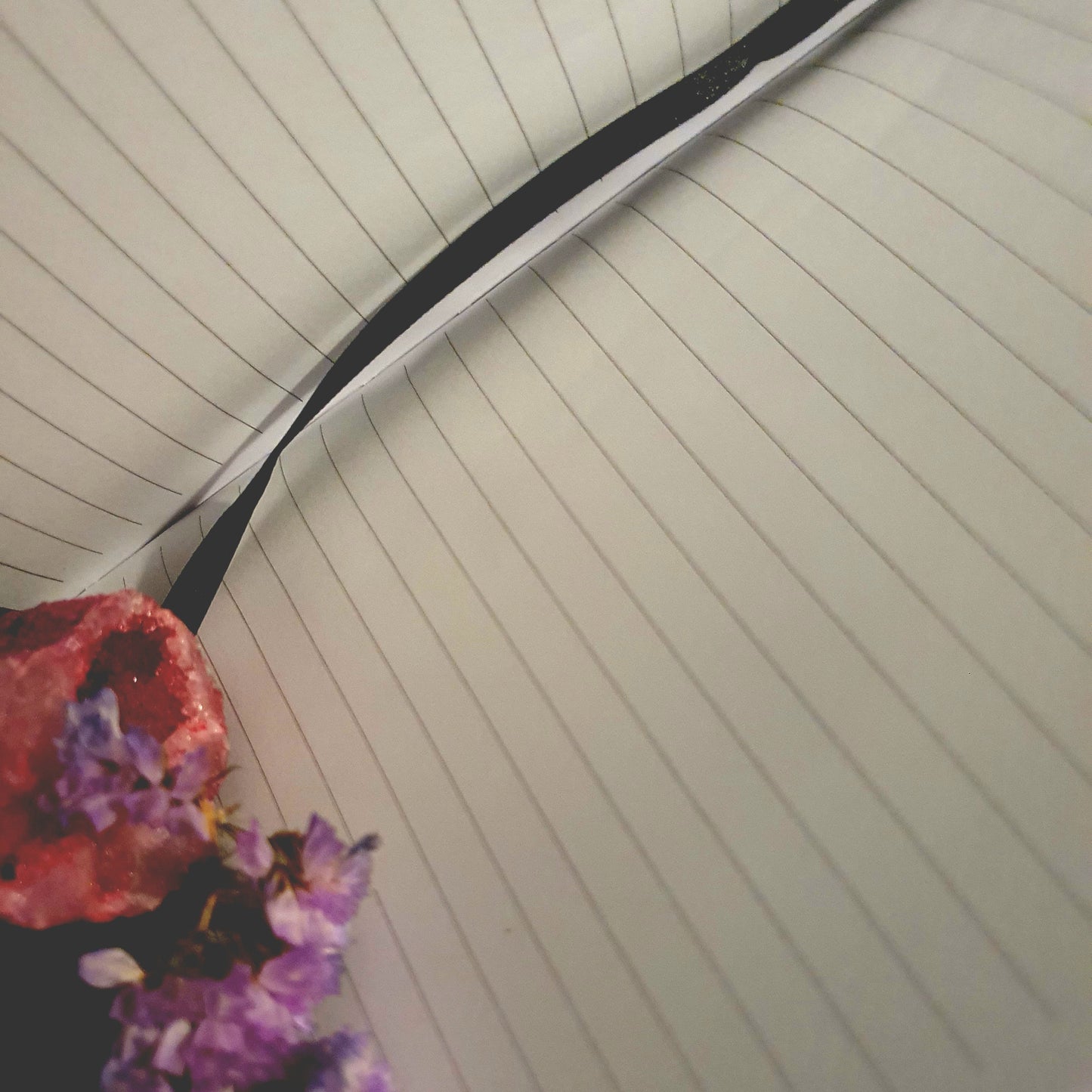 Velvet Witches Book.