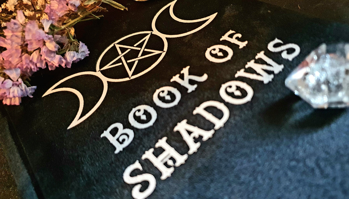 Velvet Witches Book.