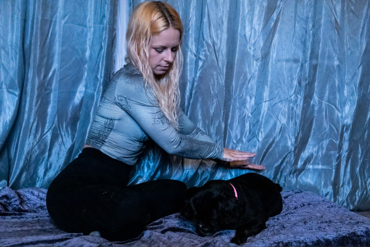 Small Animal Reiki