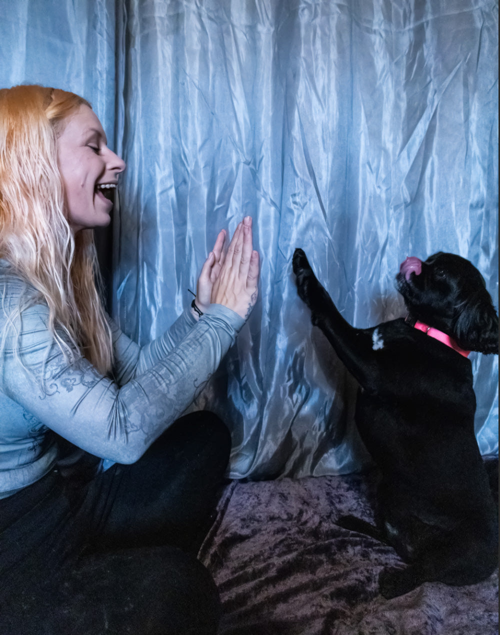 Small Animal Reiki