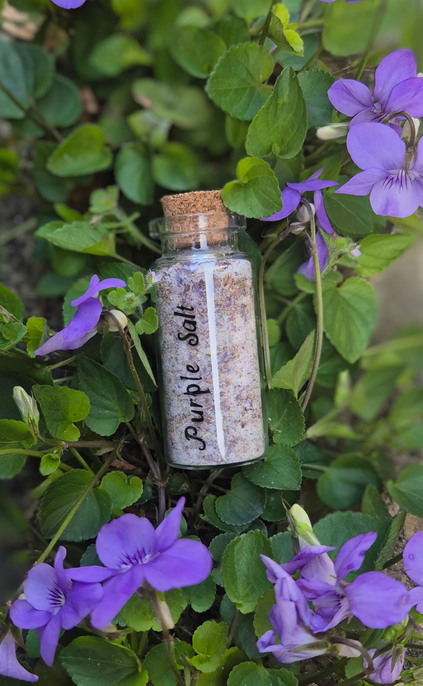 🌟Embrace Your Craft With Our Mini Witch Kit!🌟